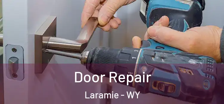 Door Repair Laramie - WY