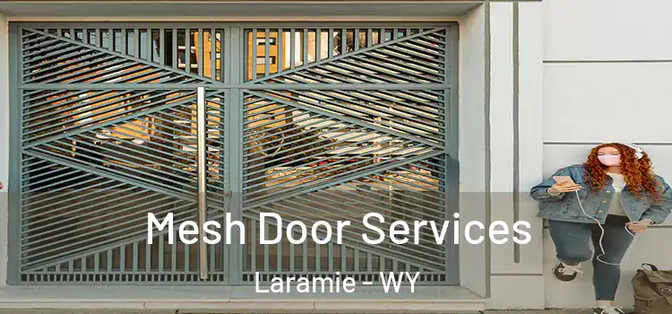 Mesh Door Services Laramie - WY